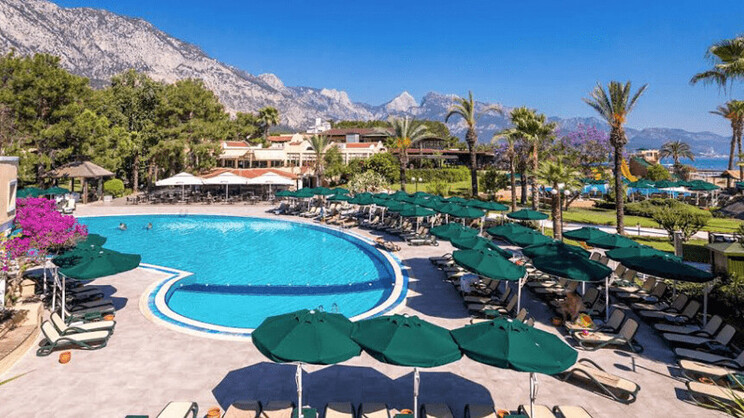 Gypsophila Club Marine